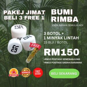 MAKJUN BUMI RIMBA 3 BOTOL + FREE 1 MINYAK LINTAH